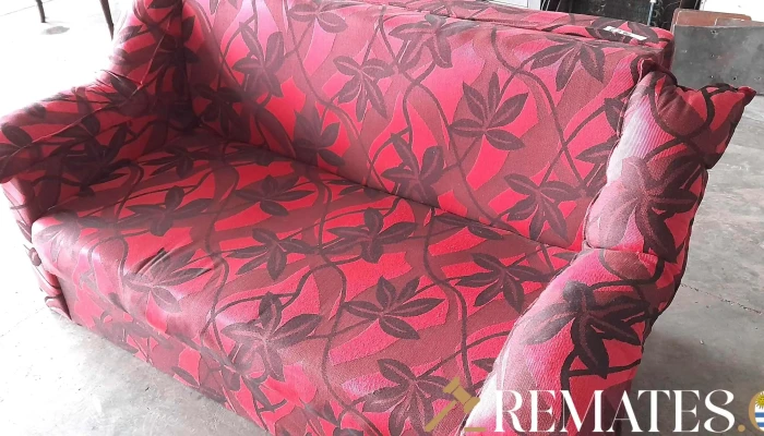 Sofa Cama Tapizado Rojo Con Flores Negra 3 - 17-06-2021