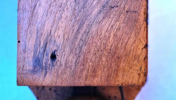Timbre antiguo en bronce caja de madera