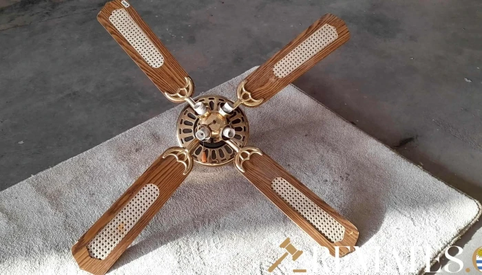 Ventilador De Techo -  1 - 17-06-2021