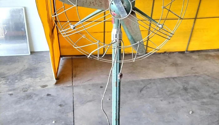 Ventildor Antiguo -  2 - 17-06-2021